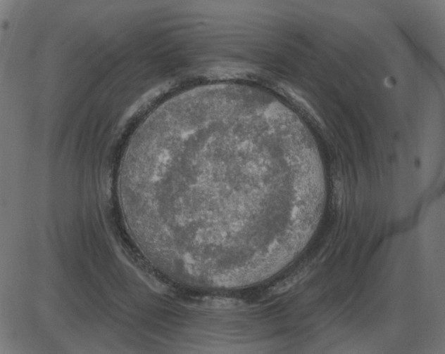 X0000087410539200705181400