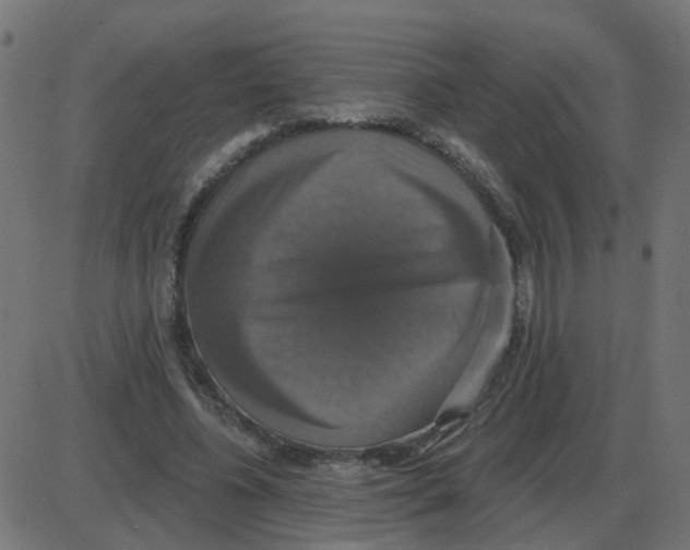 X0000087410540200705181400