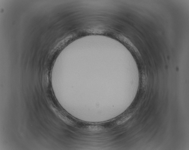 X0000087410541200705181400