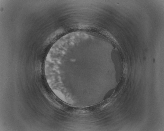 X0000087410542200705181400