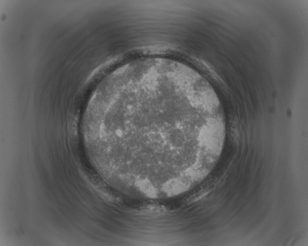 X0000087410543200705181400