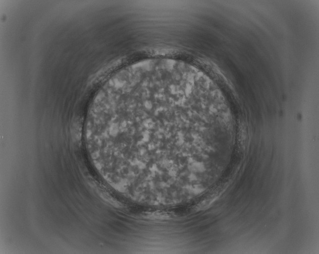 X0000087410545200705181400