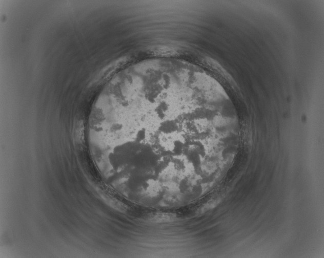 X0000087410549200705181400