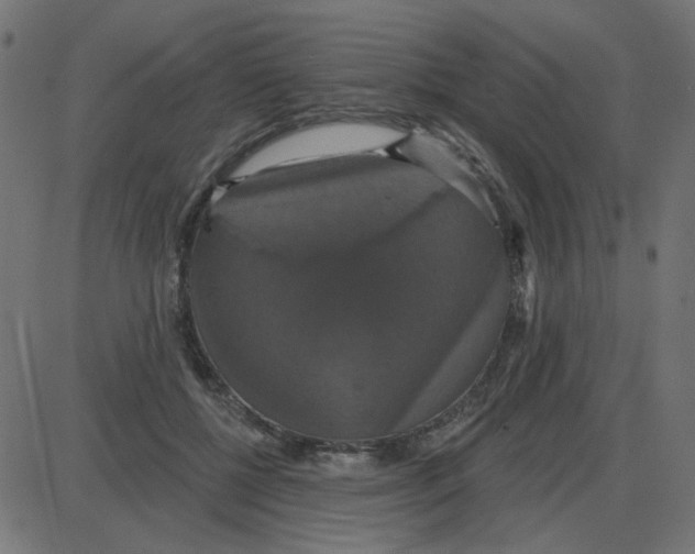 X0000087410552200705181400