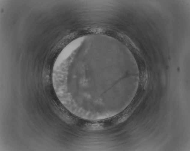 X0000087410553200705181400