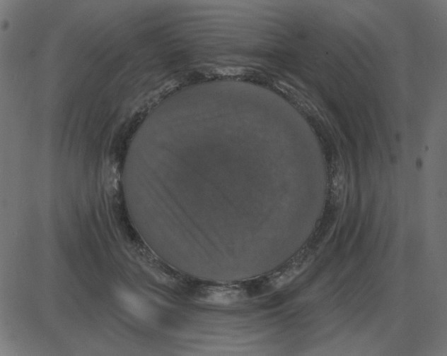 X0000087410555200705181400