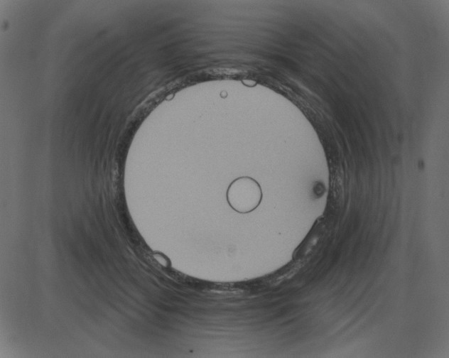 X0000087410556200705181400