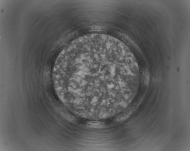 X0000087410557200705181400