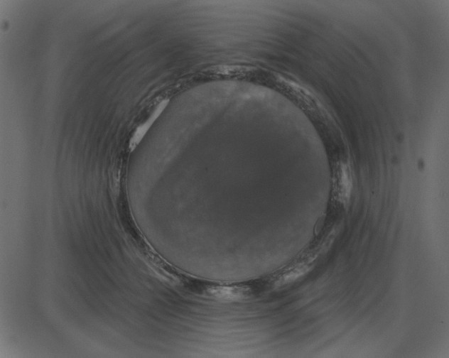 X0000087410558200705181400