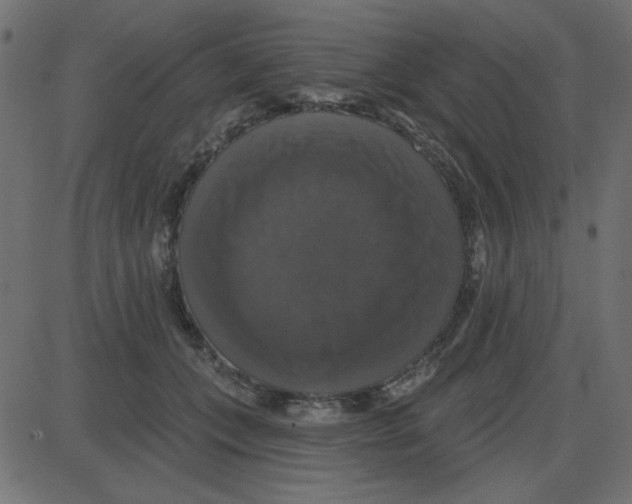 X0000087410559200705181400