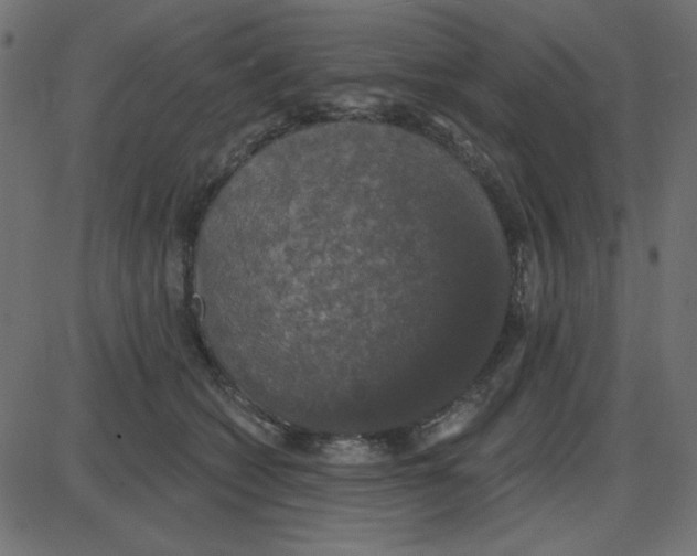 X0000087410562200705181400