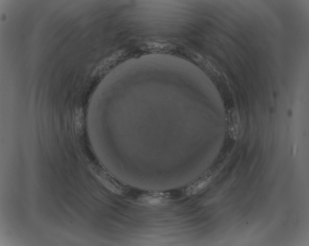 X0000087410563200705181400