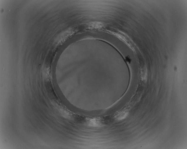 X0000087410564200705181400