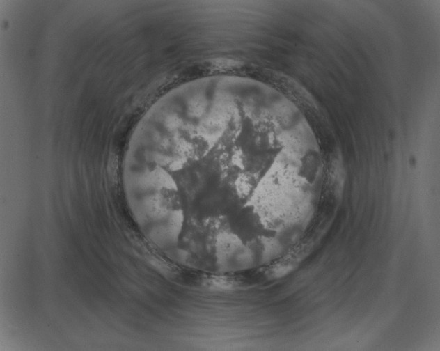 X0000087410565200705181400