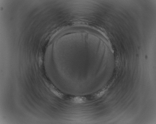 X0000087410566200705181400