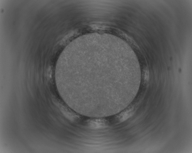 X0000087410567200705181400