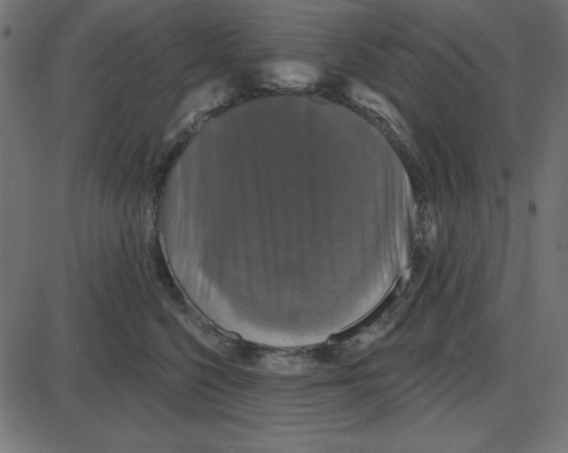 X0000087410568200705181400