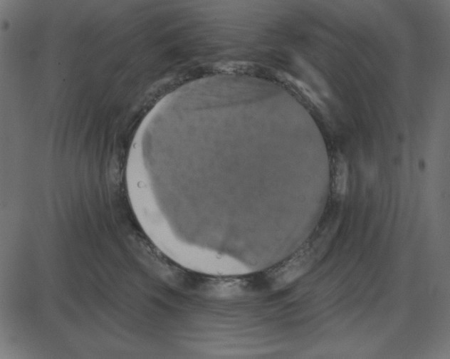 X0000087410569200705181400