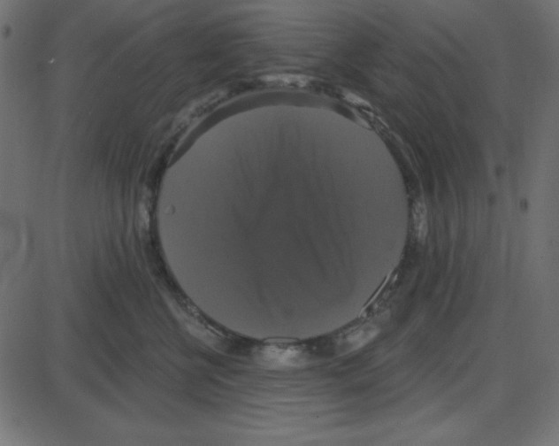 X0000087410570200705181400