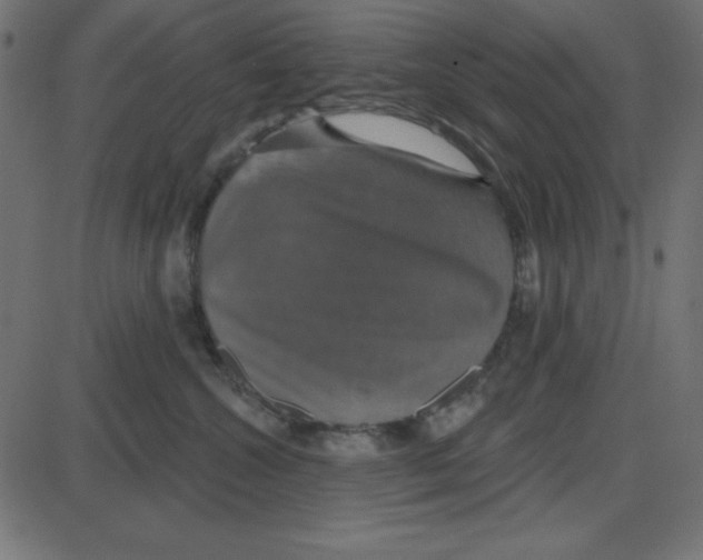 X0000087410572200705181400