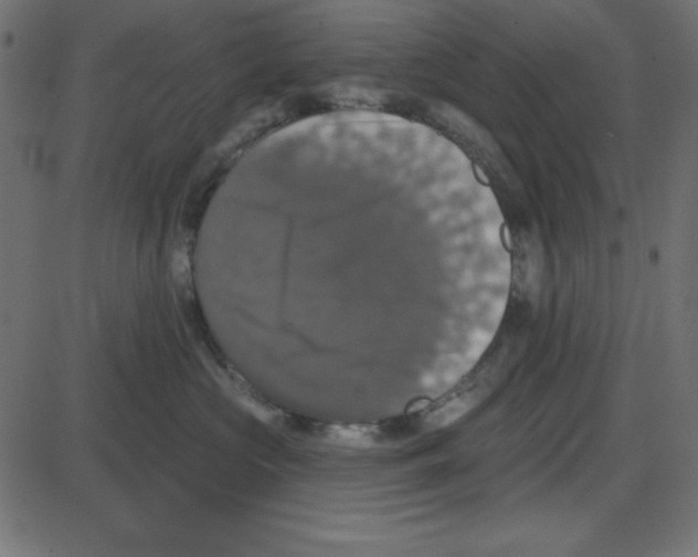 X0000087410573200705181400