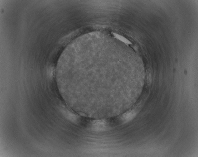 X0000087410574200705181400