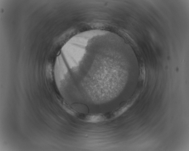 X0000087410575200705181400