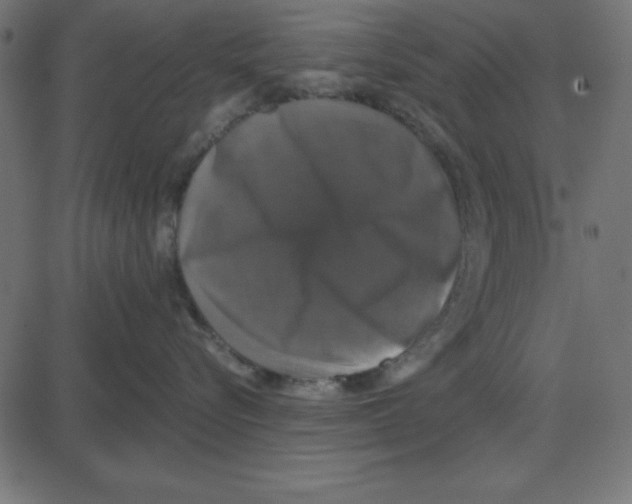 X0000087410576200705181400