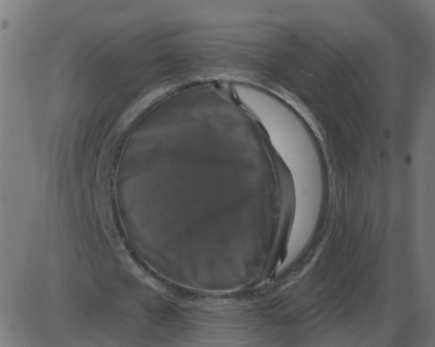 X0000087410577200705181400