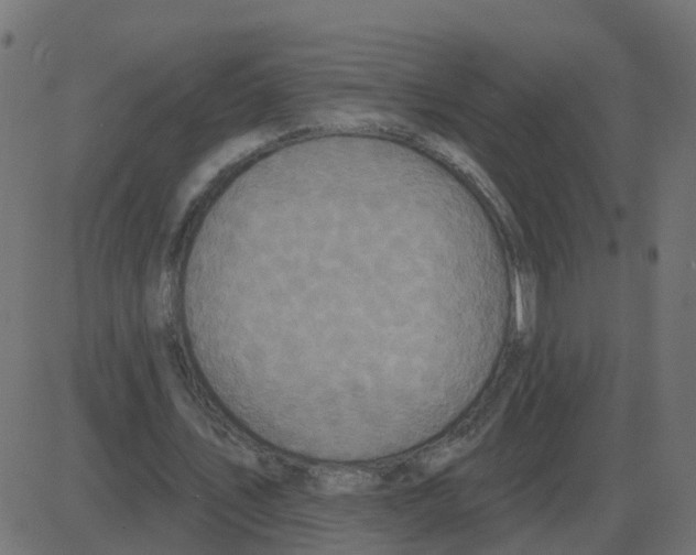 X0000087410579200705181400