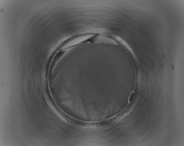 X0000087410581200705181400