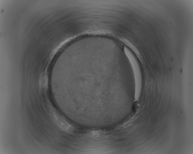 X0000087410584200705181400