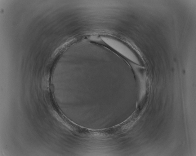 X0000087410585200705181400