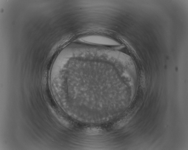 X0000087410586200705181359