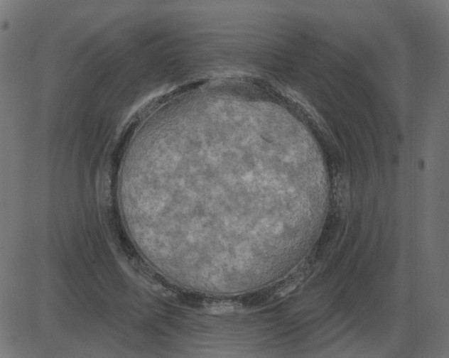 X0000087410587200705181359