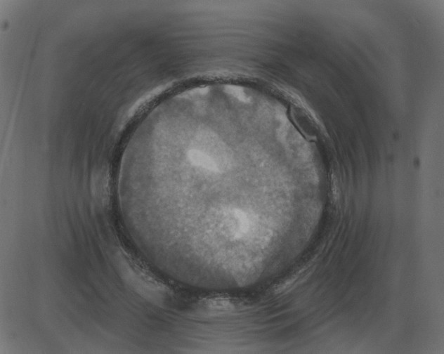 X0000087410588200705181359