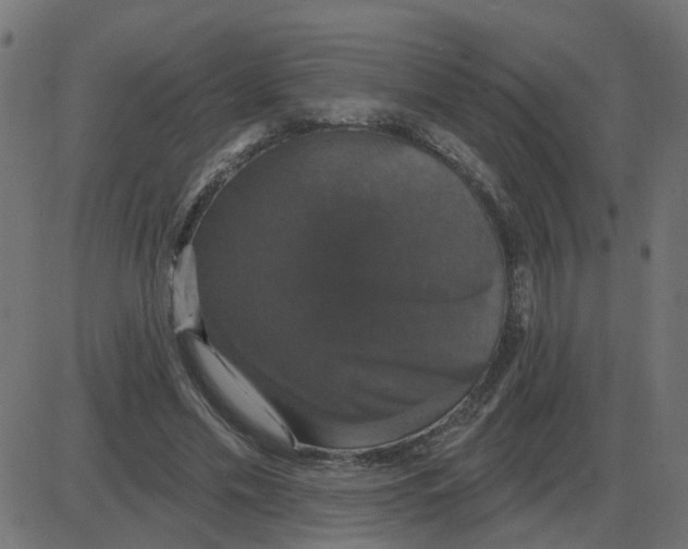 X0000087410589200705181359