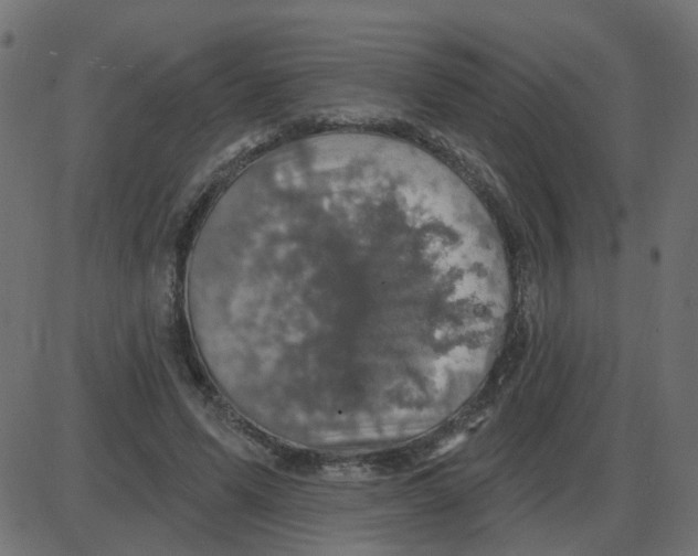 X0000087410591200705181359