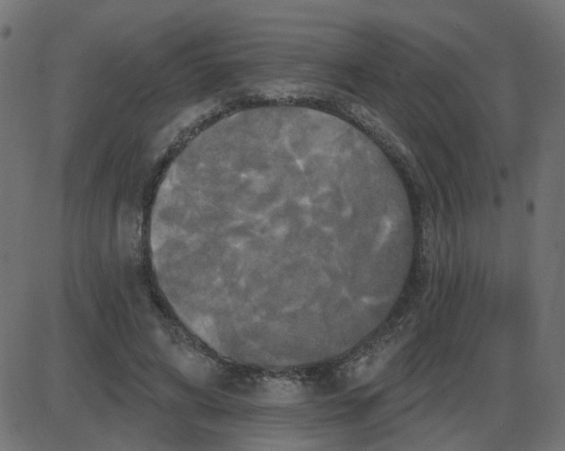 X0000087410592200705181359