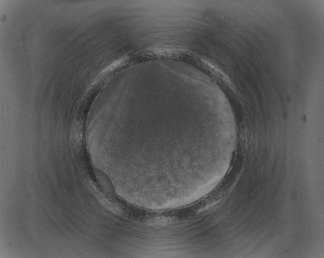 X0000087410593200705181359