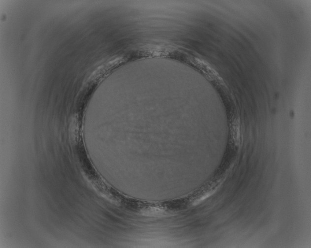 X0000087410594200705181359