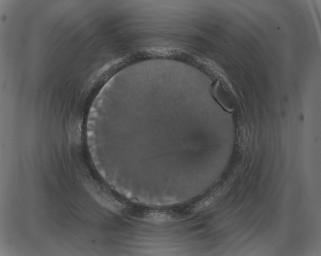 X0000087410596200705181359