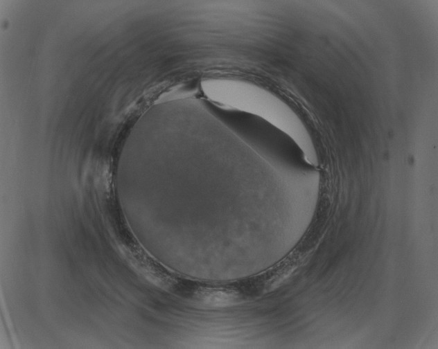 X0000087410597200705181359