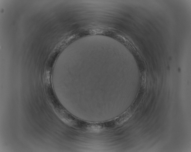 X0000087410598200705181359