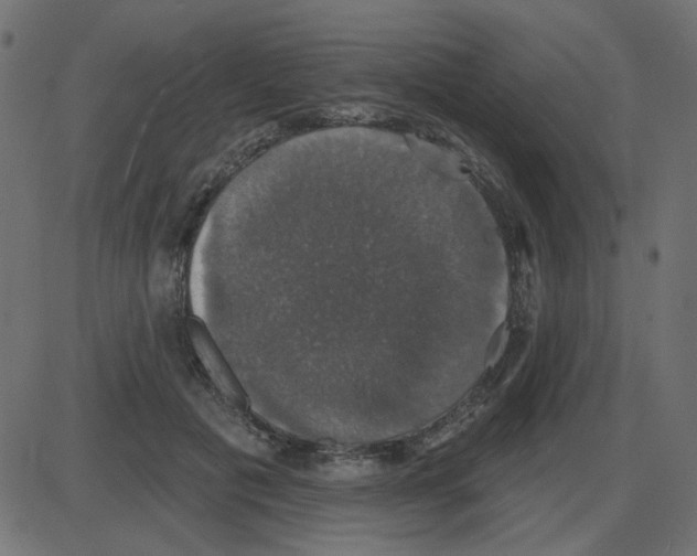 X0000087410601200705181359