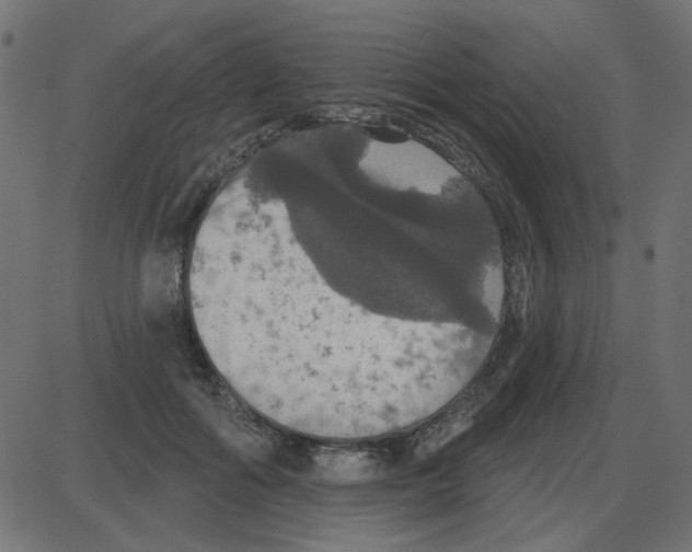 X0000087410602200705181359