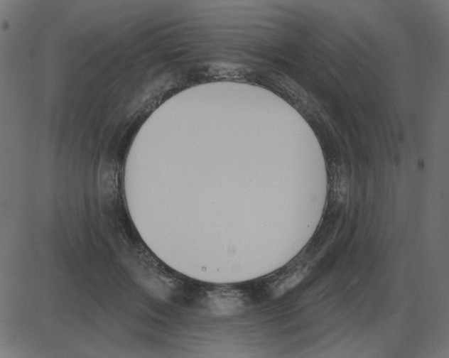 X0000087410603200705181359