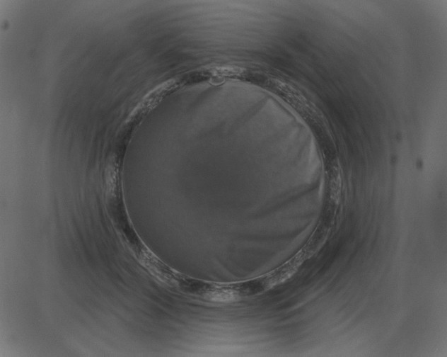 X0000087410604200705181359