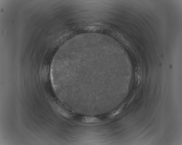 X0000087410605200705181359