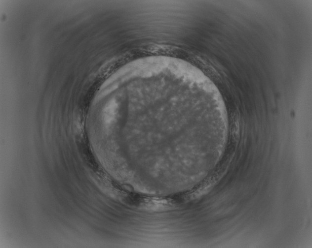 X0000087410607200705181359